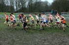 Senior boys 2019 New Balance English Schools Cross Country Champs, Temple Newsam, Leeds. Photo:  David T. Hewitson/Sports for All Pics